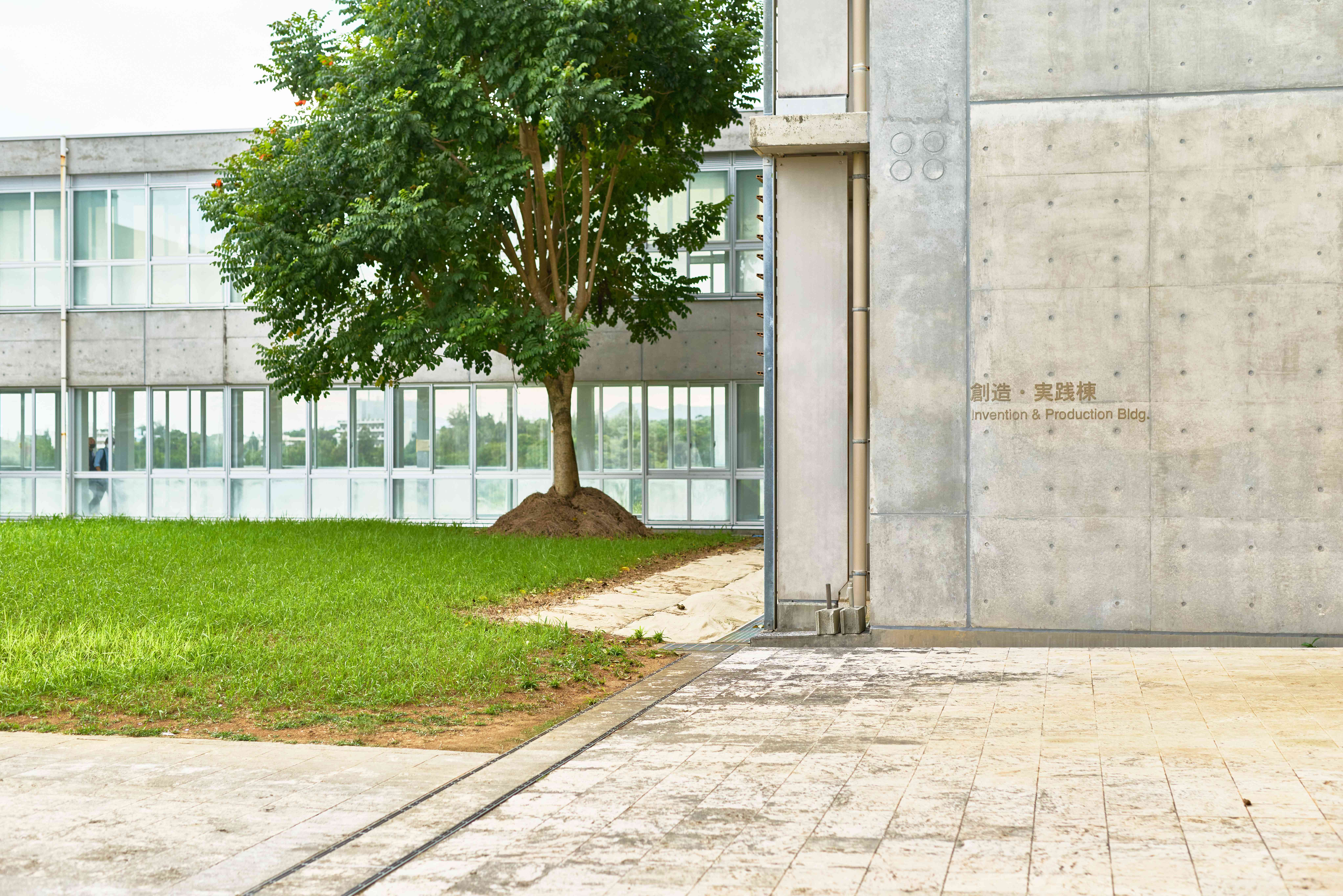 池松先生の写真 4