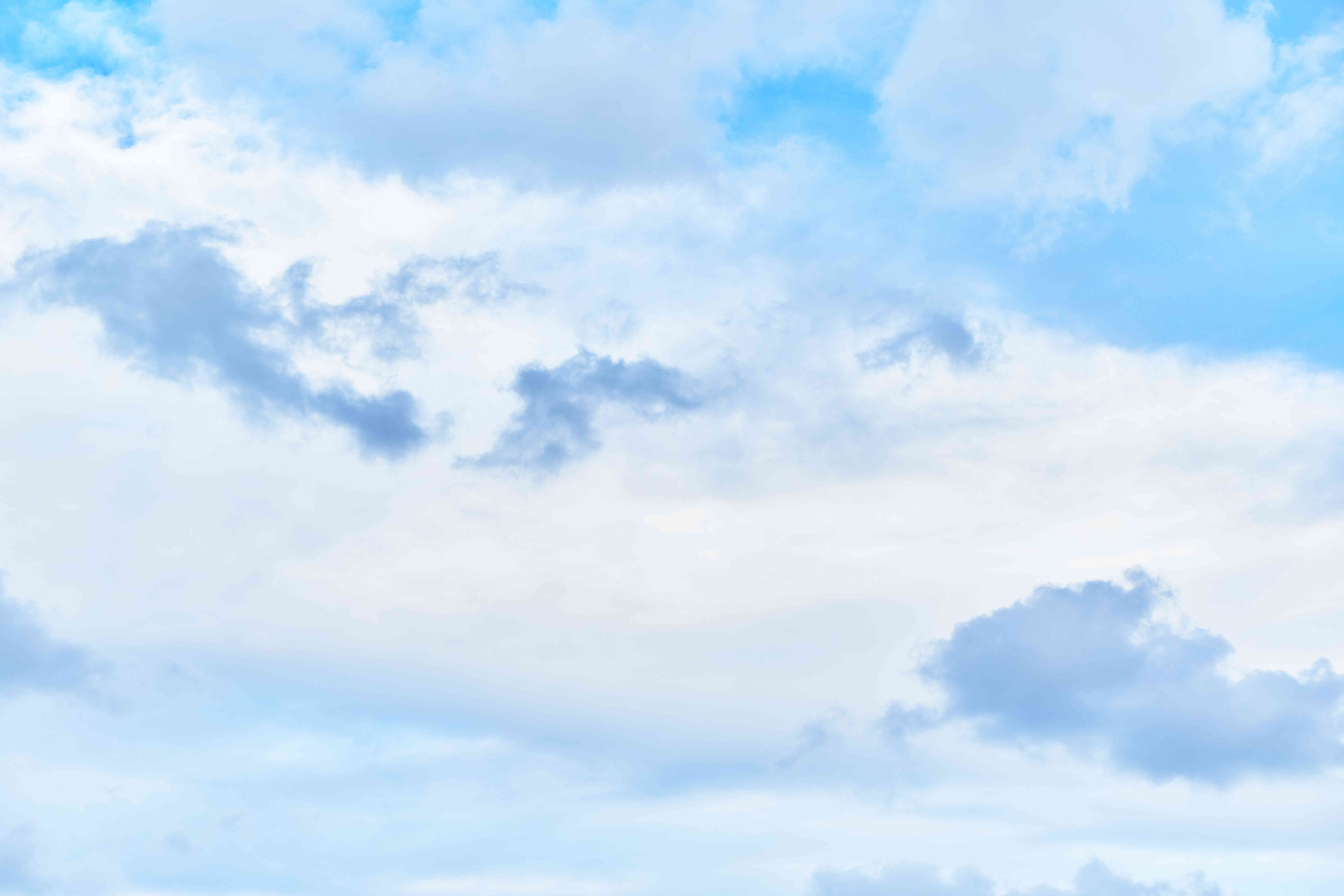 池松先生の写真 6