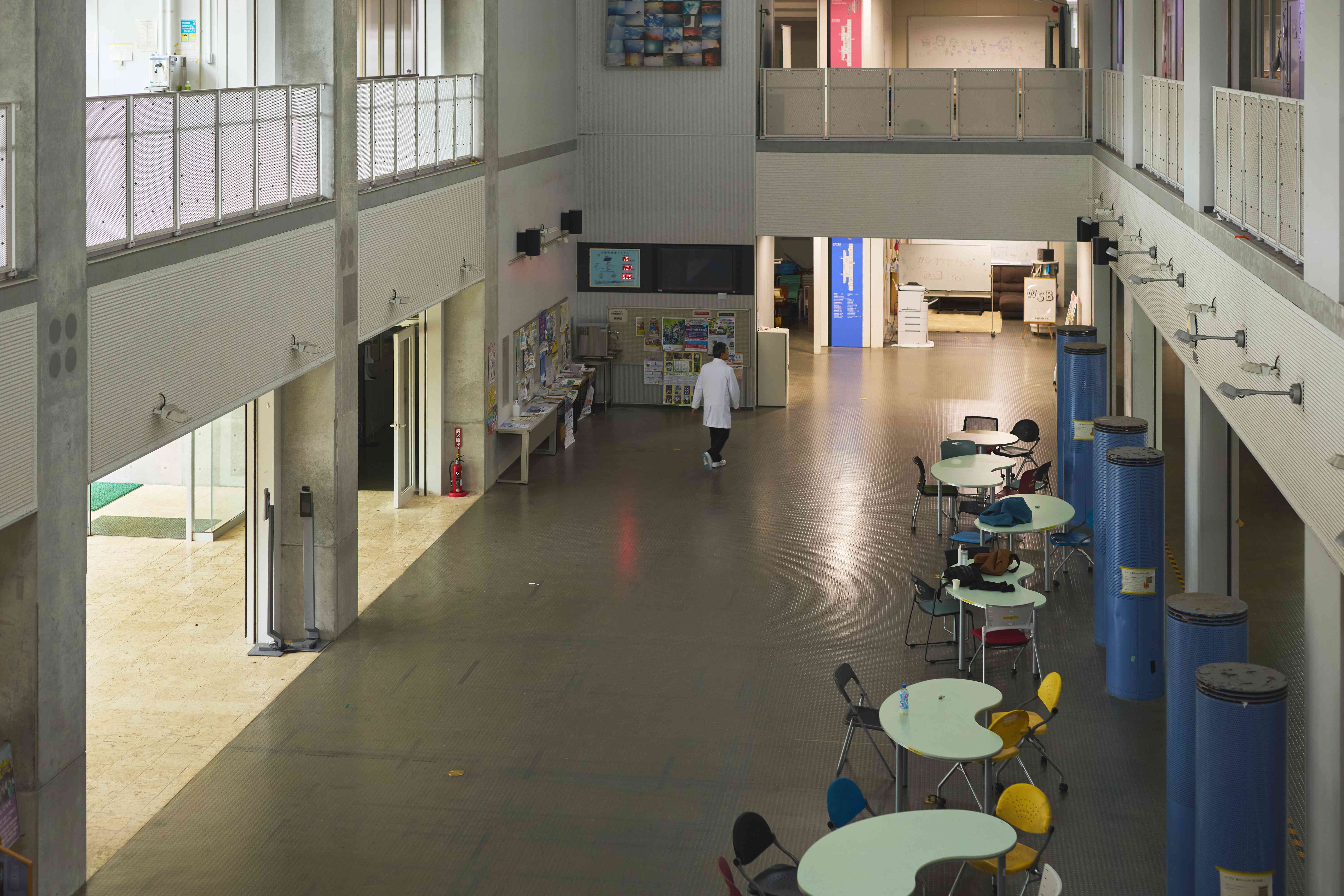 池松先生の写真 19