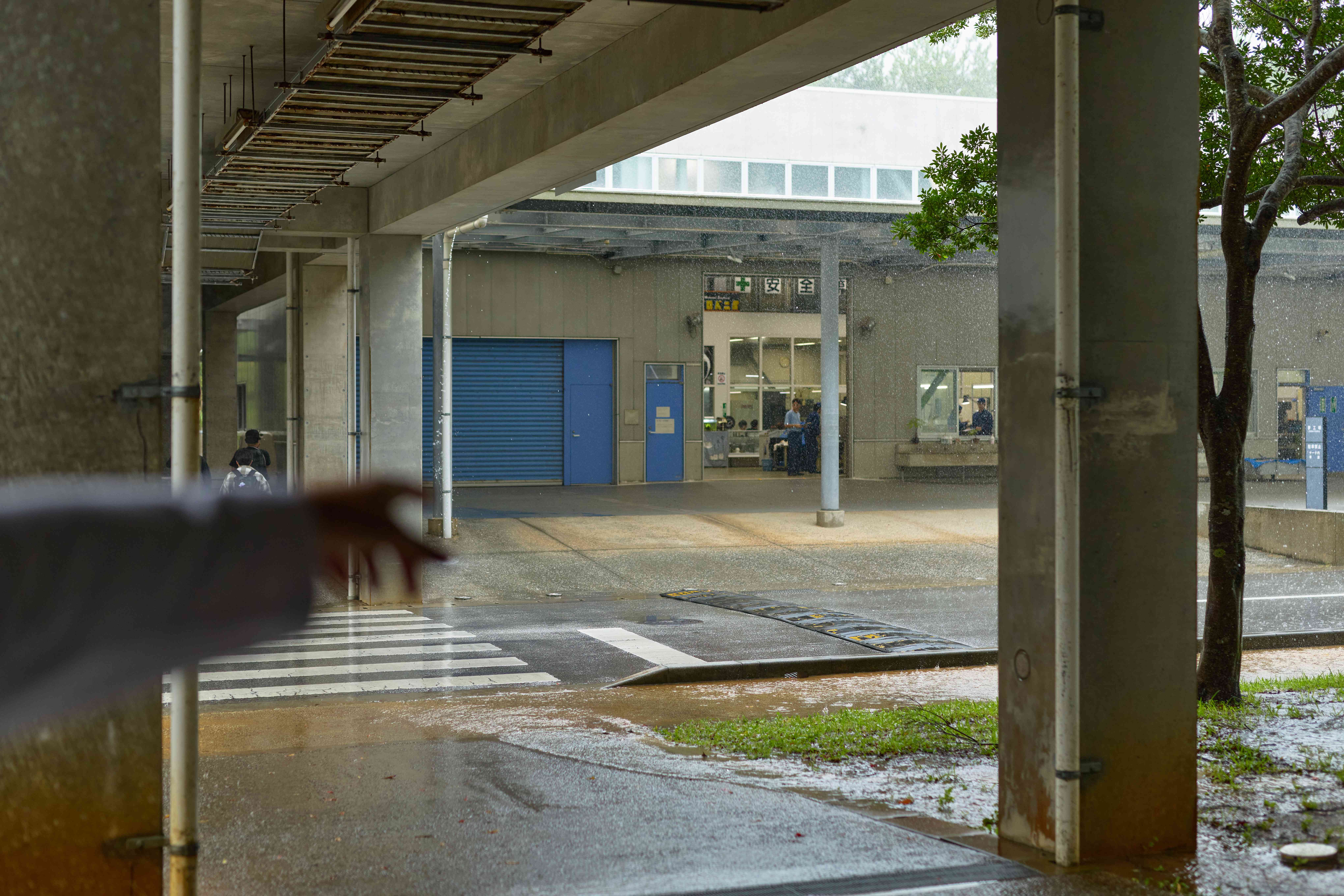 池松先生の写真 21