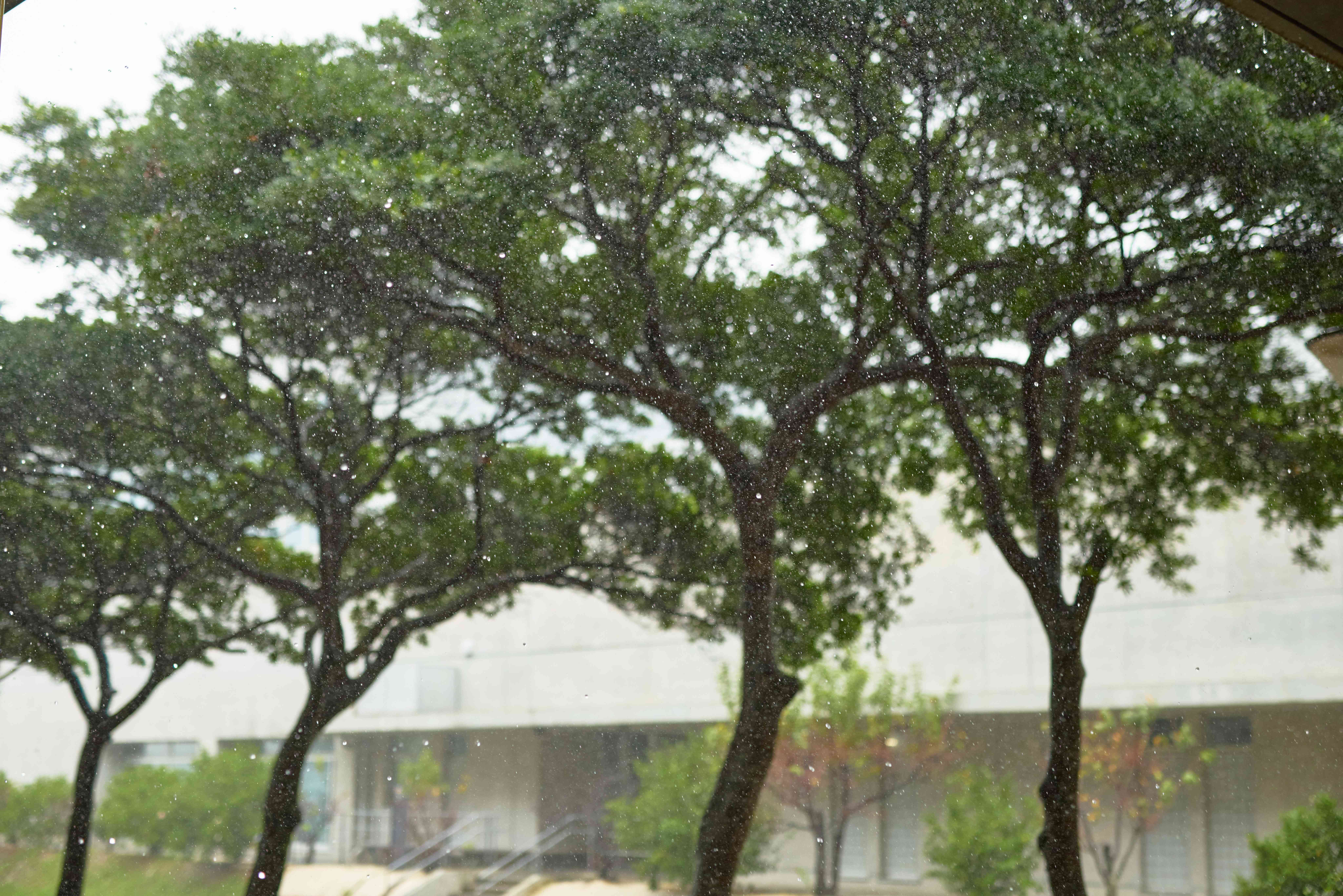 池松先生の写真 24